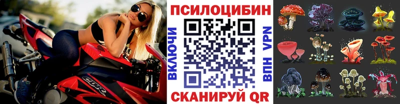Псилоцибиновые грибы прущие грибы Кулебаки