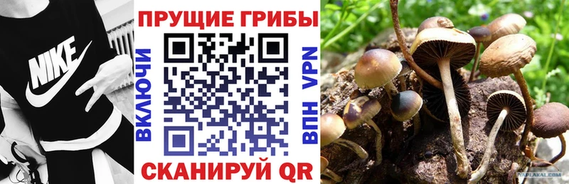 Галлюциногенные грибы мухоморы  наркота  Кулебаки 