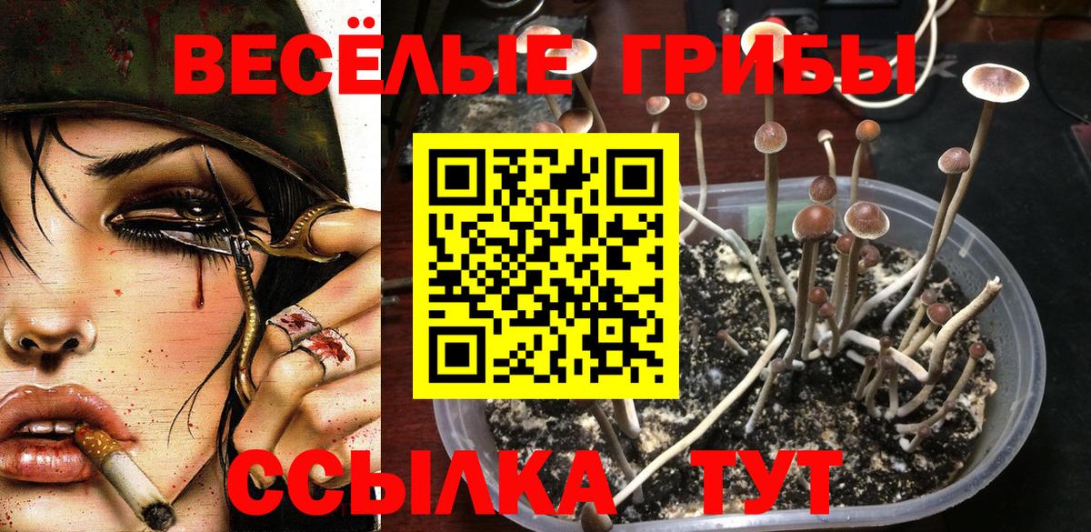 Галлюциногенные грибы GOLDEN TEACHER Кулебаки