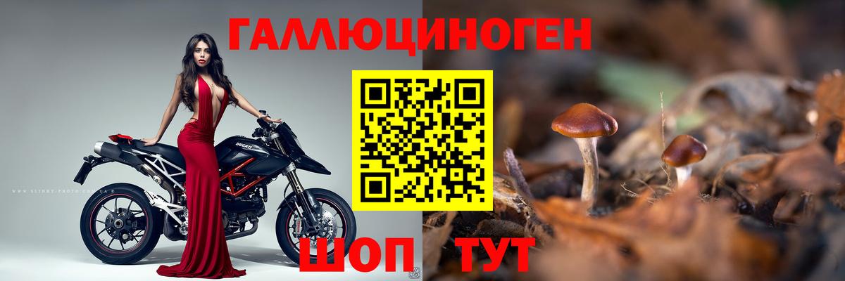 Галлюциногенные грибы ЛСД  Галлюциногенные грибы Magic Shrooms  Вход с VPN  Кулебаки 